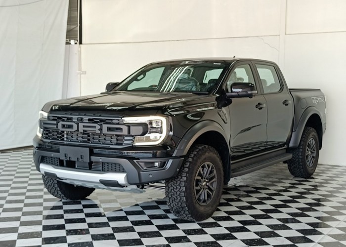 FORD Raptor 2481 MPBAMF060XXXXXXXX