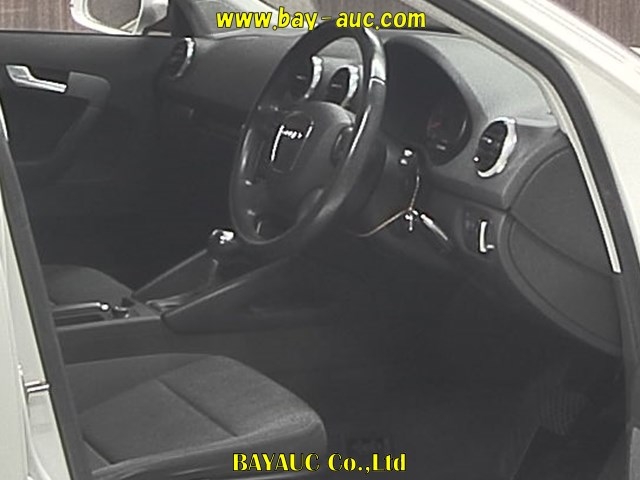 2011 AUDI A3 WAUZZZ8P0CA021008
