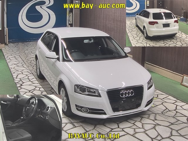 2011 AUDI A3 WAUZZZ8P0CA021008