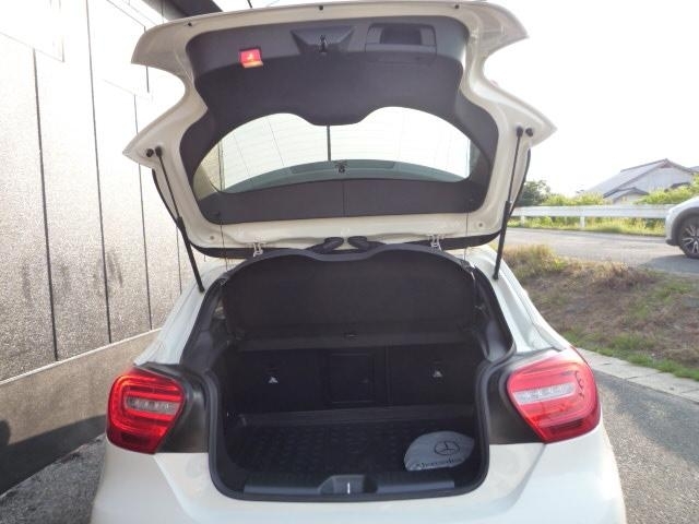 2013 MERCEDES A CLASS WDD1760422J152313