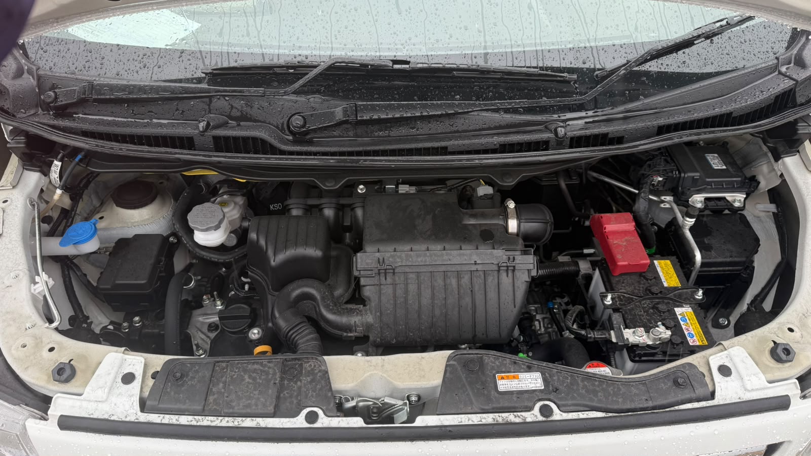 2025 SUZUKI WAGON R MH95S-288391